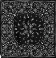 Skull Paisley Black Bandana